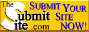TheSubmitSite.com- Your complete source for web site 
promotion on the Internet!